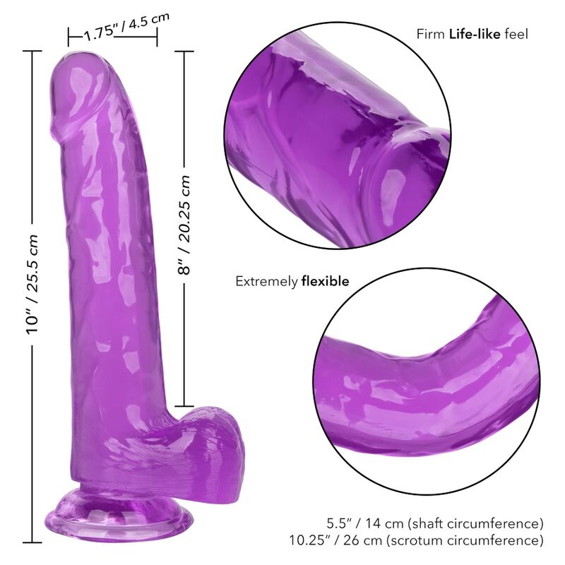 CalExotics Grösse Königin-dildo Lila 20.3 CM