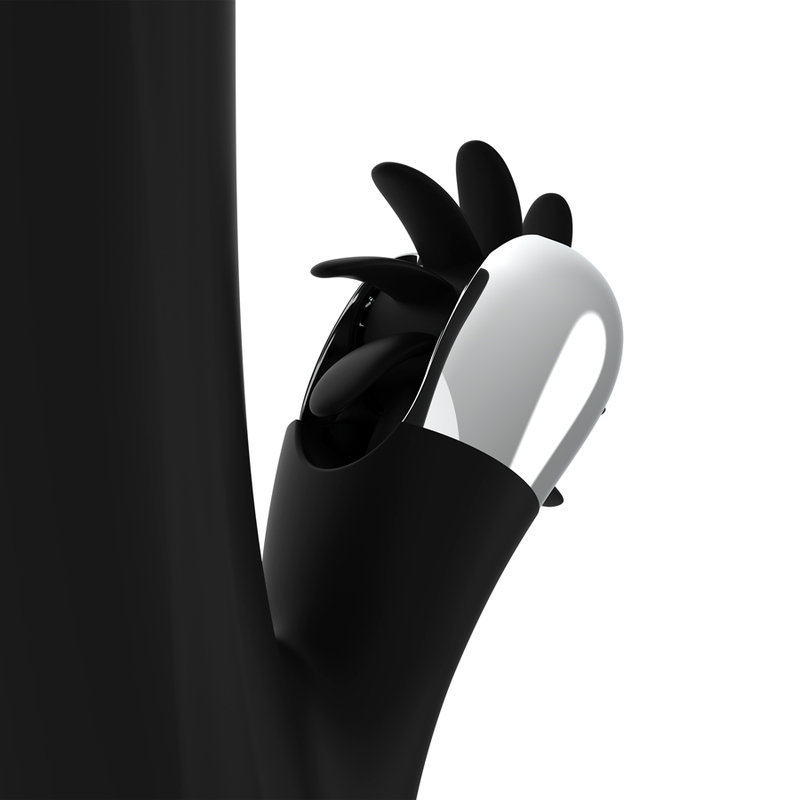 Black&Silver Bunny Storm Rotation Vibe