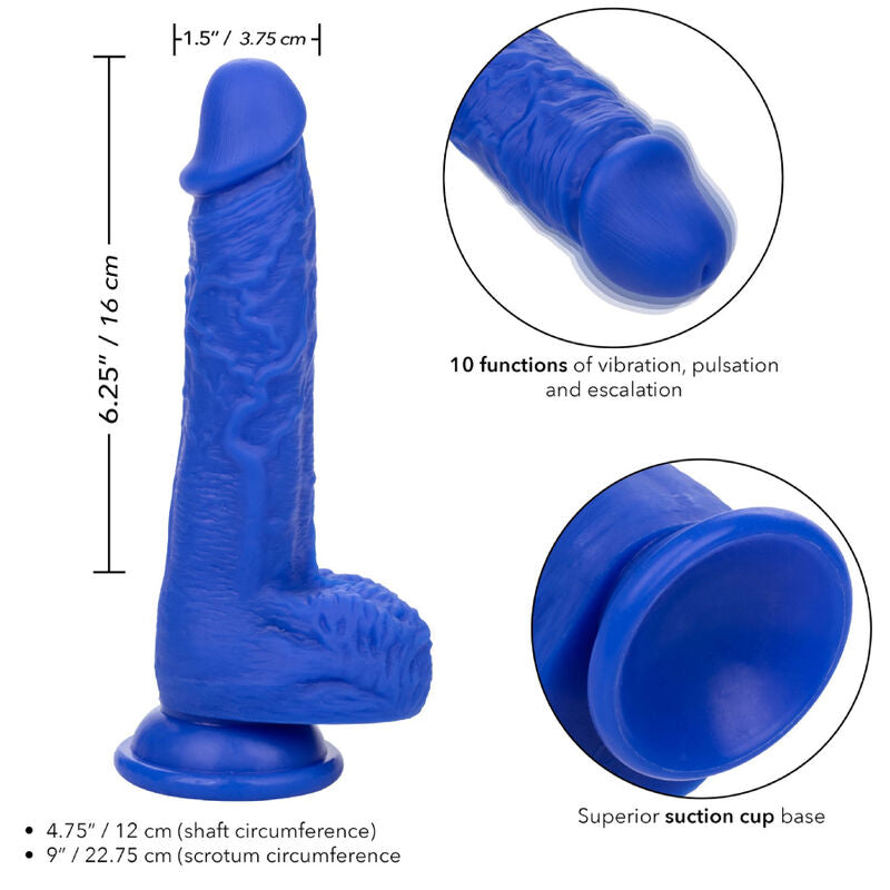 Calexotics – Admiral Sailor Realistischer Dildo-Vibrator Blau