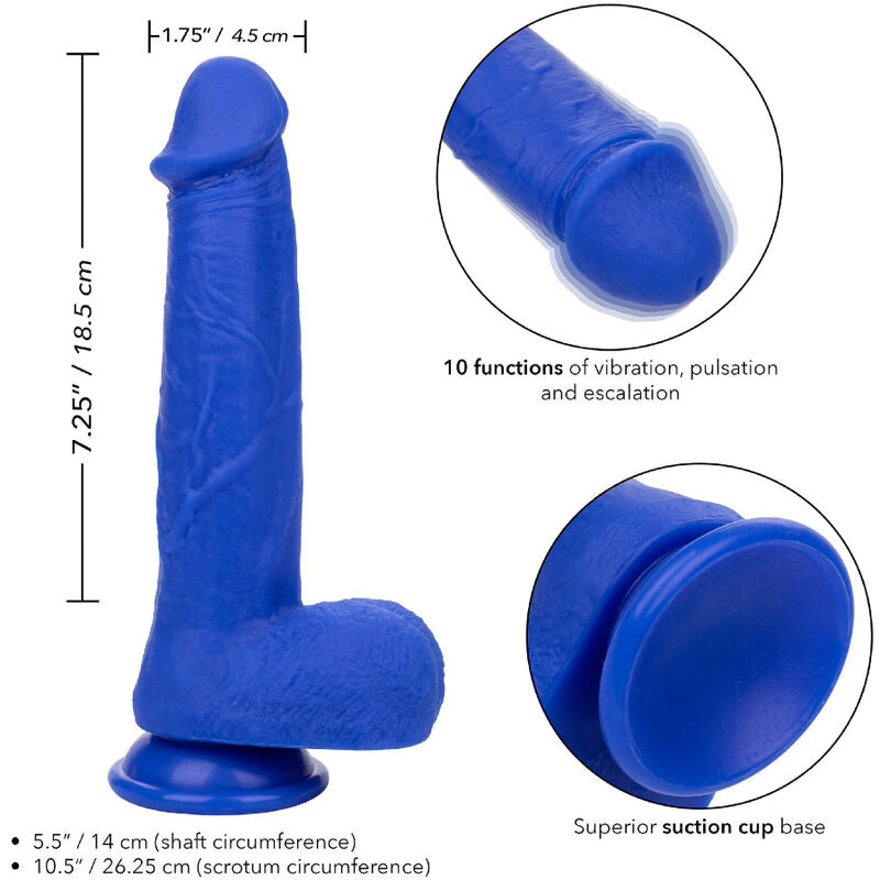 Calexotics – Admiral Kapitn Realistischer Dildo-Vibrator Blau