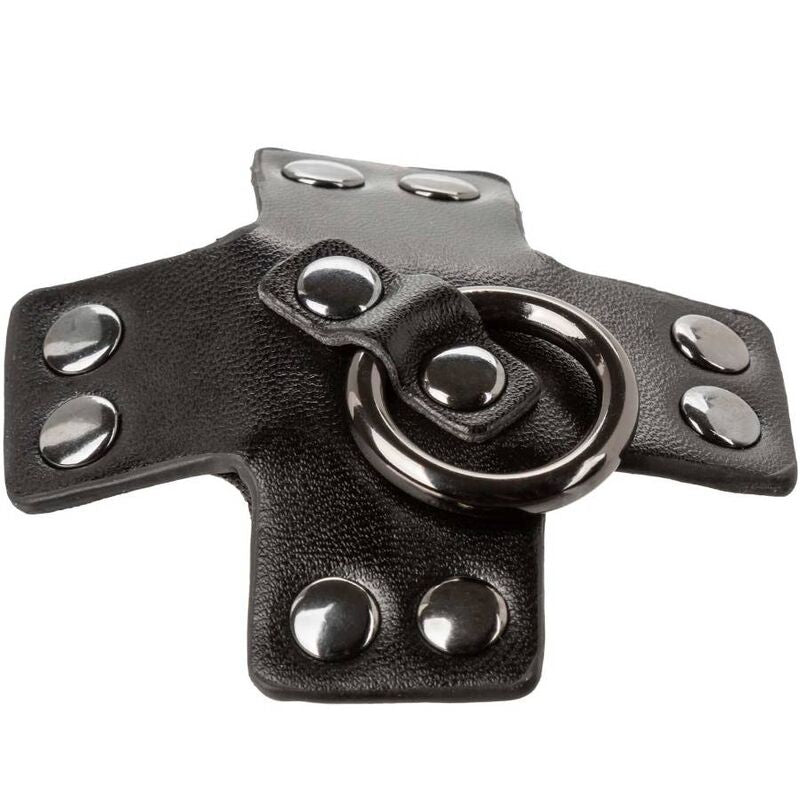 Calexotics – Euphoria O-Ring Schwarz