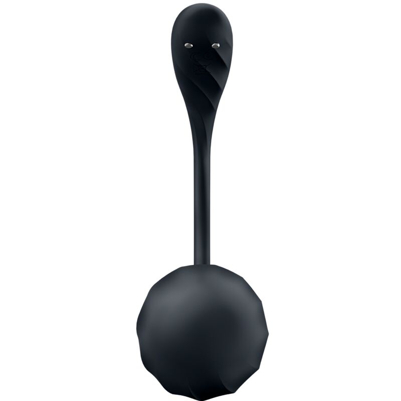 Satisfyer Ribbed Petal G Point Stimulator Fernbedienung Schwarz