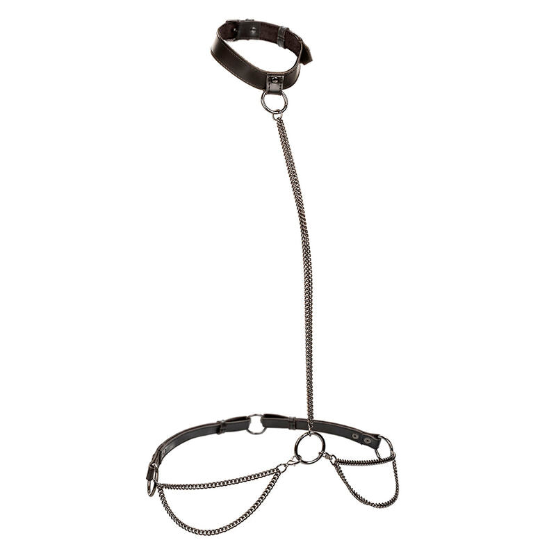 Calexotics – Euphoria Kettenhalfterhalsband und Leine
