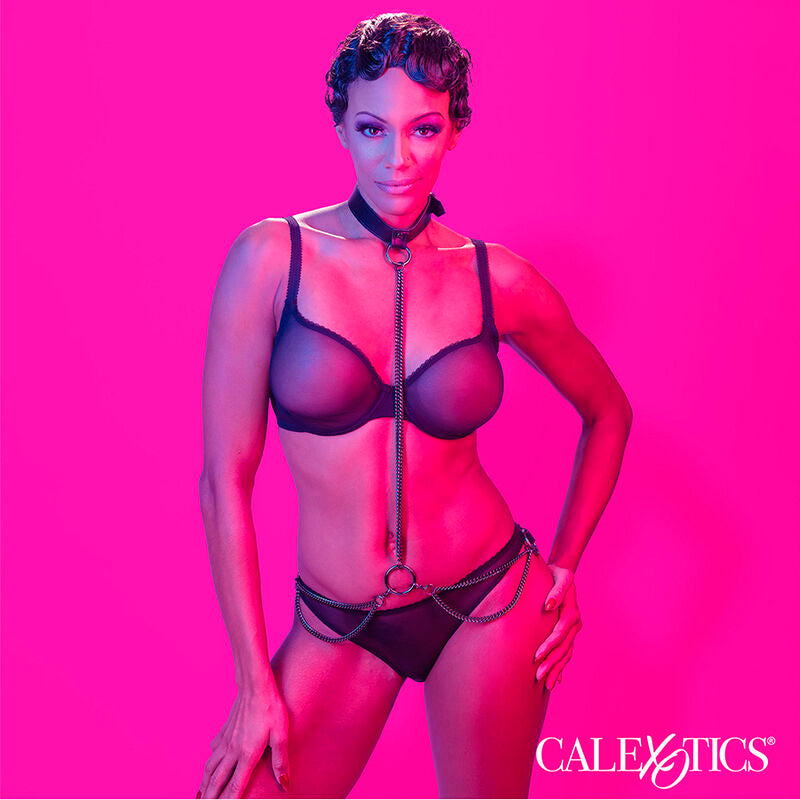 Calexotics – Euphoria Kettenhalfterhalsband und Leine