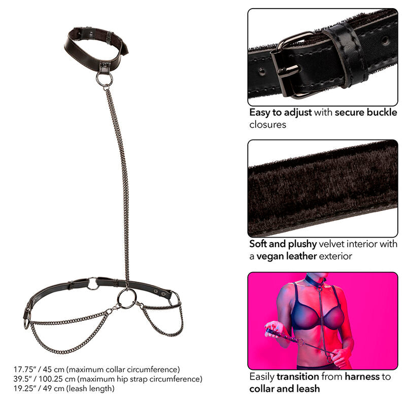 Calexotics – Euphoria Kettenhalfterhalsband und Leine
