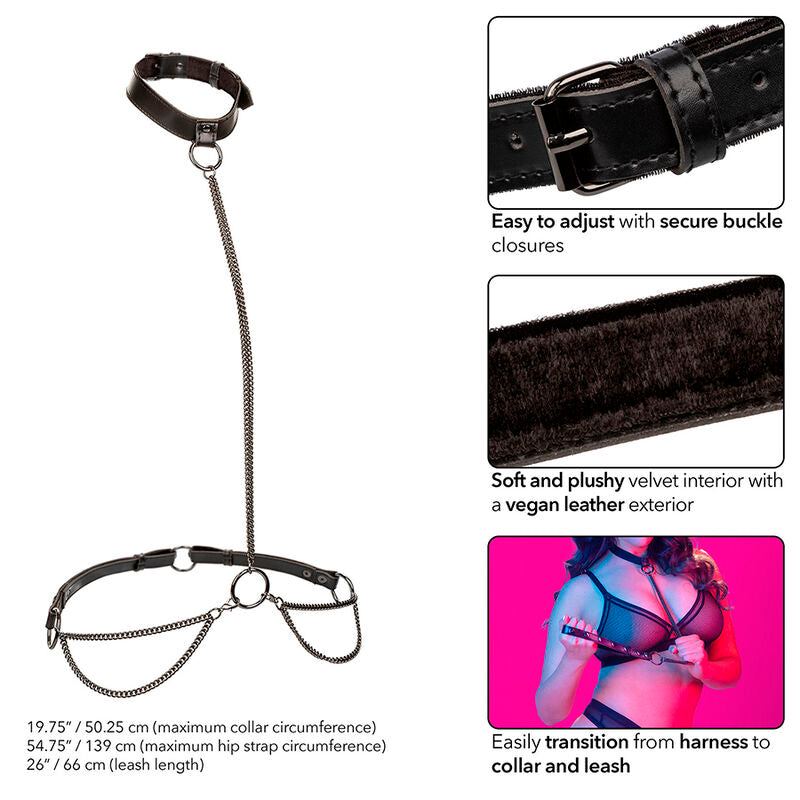 Calexotics – Euphoria Kettenhalfterhalsband und Leine Übergrösse