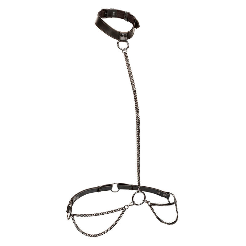 Calexotics – Euphoria Kettenhalfterhalsband und Leine Übergrösse