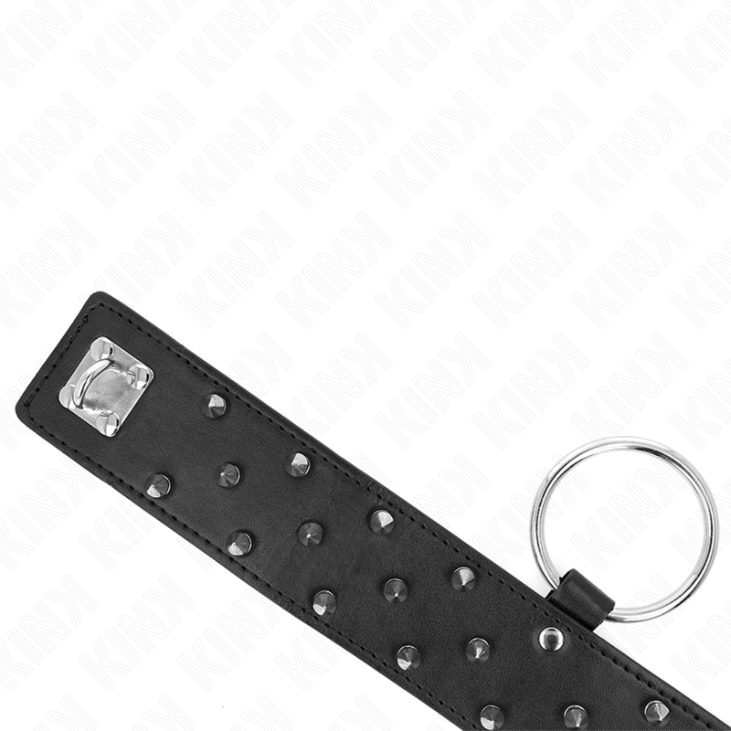 Kink – Halskette mit Leine 65 Cm mit Silbernen Nieten Modell 5 Vers...