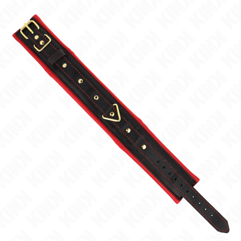 Kink – Halsband mit Leine aus Einfacher Stoff, Verstellbar 33-48 Cm...