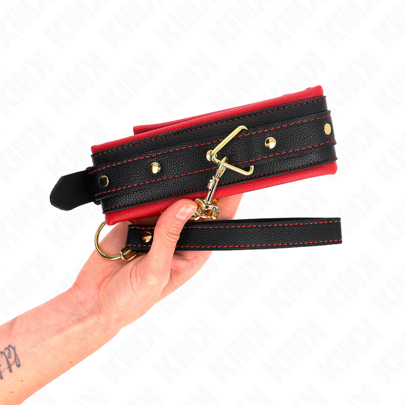 Kink – Halsband mit Leine aus Einfacher Stoff, Verstellbar 33-48 Cm...