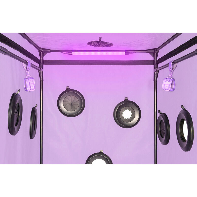 Secret Dome Kink Club Cabin Scandale – Lila