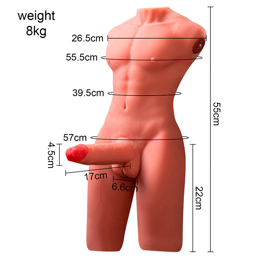 Xise Jason Halbkörper Realistischer Männlicher Torso mit Stoss-