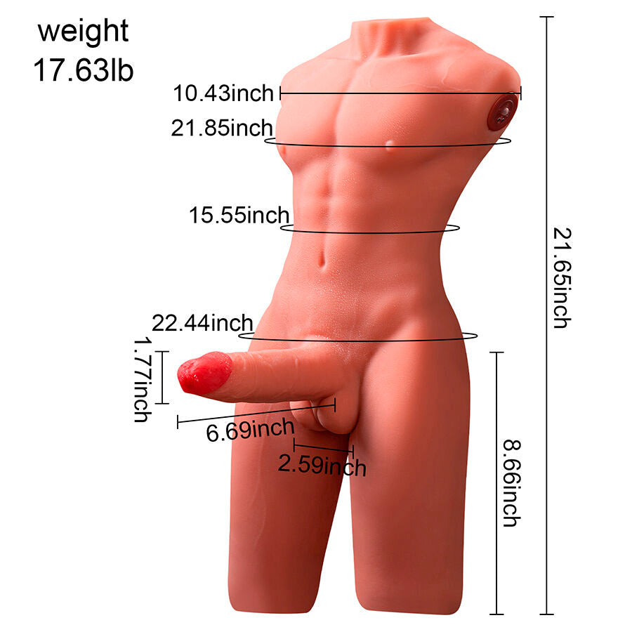 Xise Jason Halbkörper Realistischer Männlicher Torso mit Stoss-