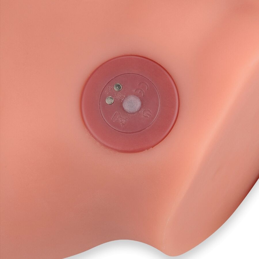 Xise Frederico Masturbador Realistischer Dildo Frontposition mit