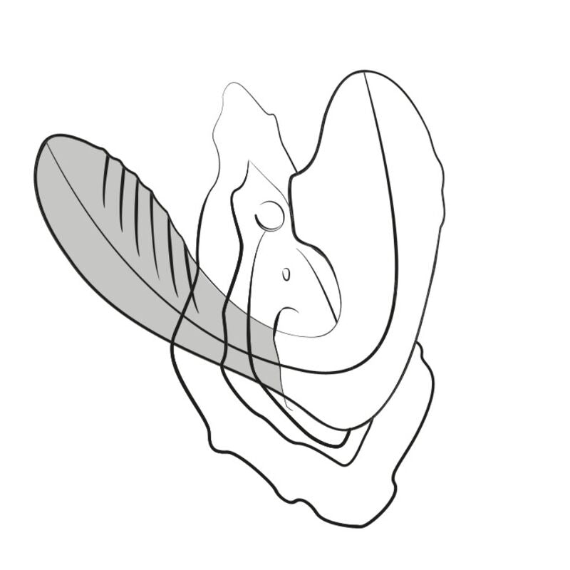 ROMP Reverb G-Punkt-Vibrator mit Klitoris-Sauggeraet Lila