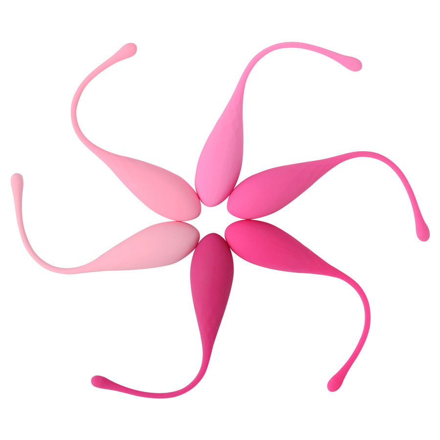 Leslie Kegel Fit Pelvic Muscle Training Set 6 Stück