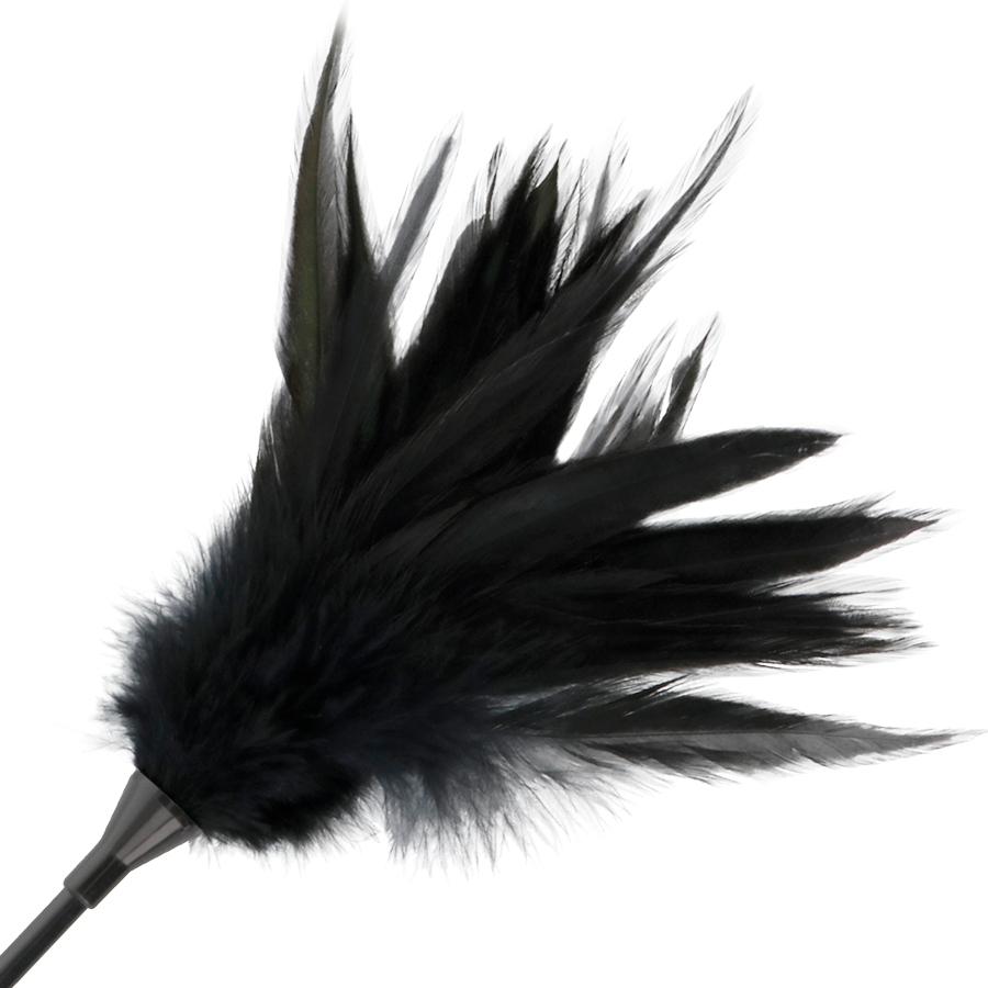 Darkness Sensations Schwarze Federpeitsche