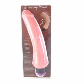 Baile Vibrators Baile - Realistischer Vibrator 19.5 cm