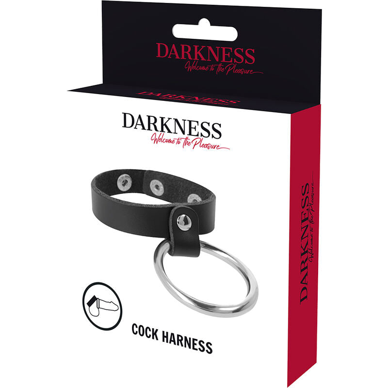 Darkness Metallring für Penis und Hoden
